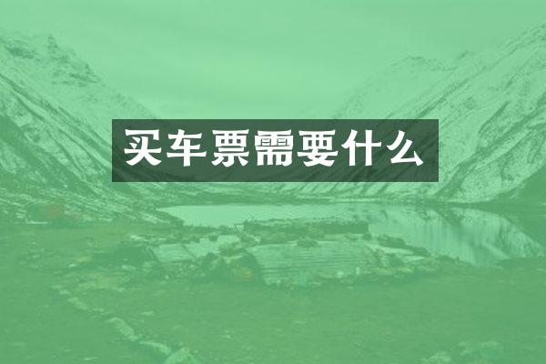 买车票需要什么