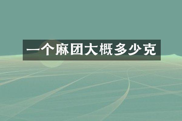 一个麻团大概多少克