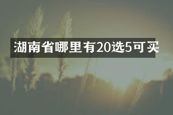 湖南省哪里有20选5可买