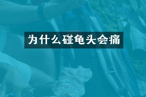 为什么碰龟头会痛
