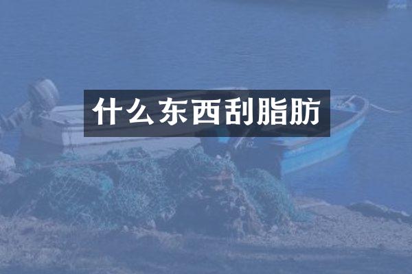 什么东西刮脂肪