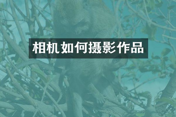 相机如何摄影作品