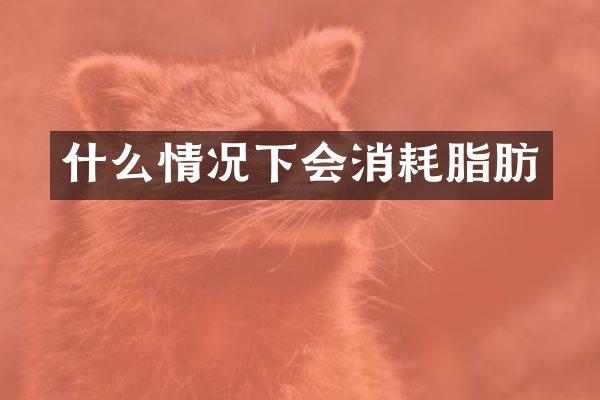 什么情况下会消耗脂肪