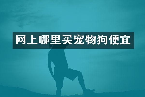 网上哪里买宠物狗便宜