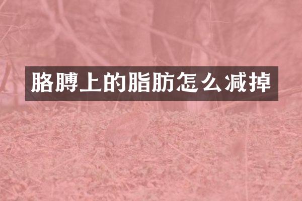 胳膊上的脂肪怎么减掉