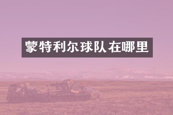 蒙特利尔球队在哪里