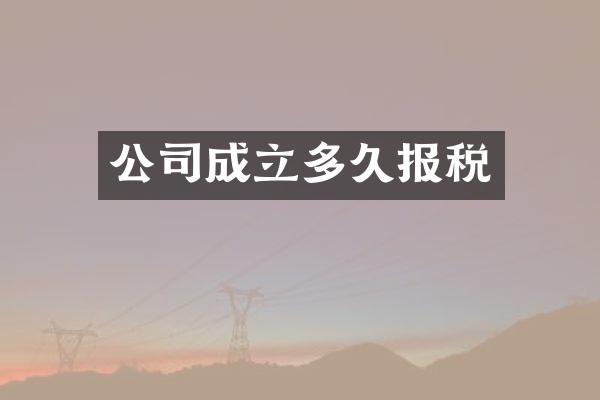 公司成立多久报税