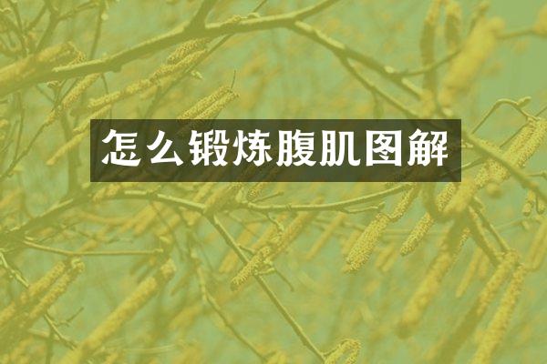 怎么锻炼腹肌图解