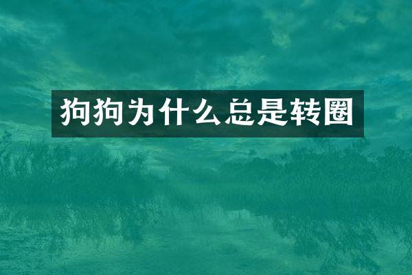 狗狗为什么总是转圈