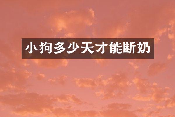 小狗多少天才能断奶