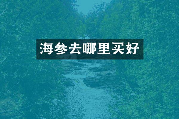 海参去哪里买好