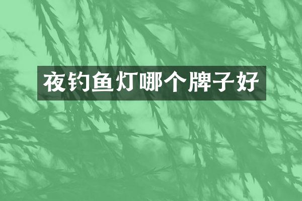 夜钓鱼灯哪个牌子好