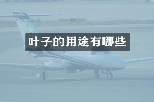 叶子的用途有哪些