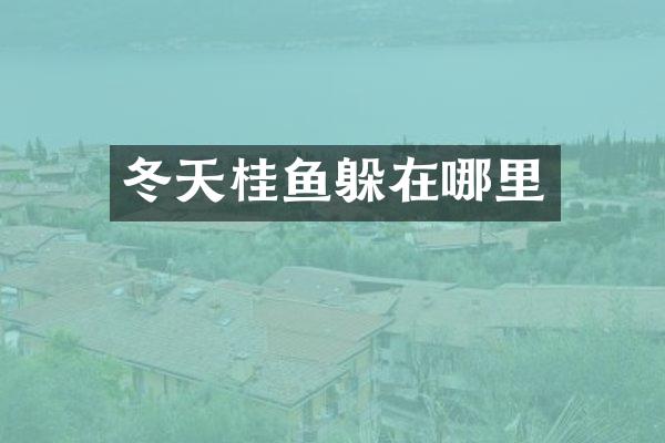 冬天桂鱼躲在哪里