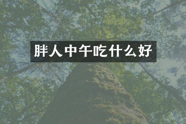 胖人中午吃什么好