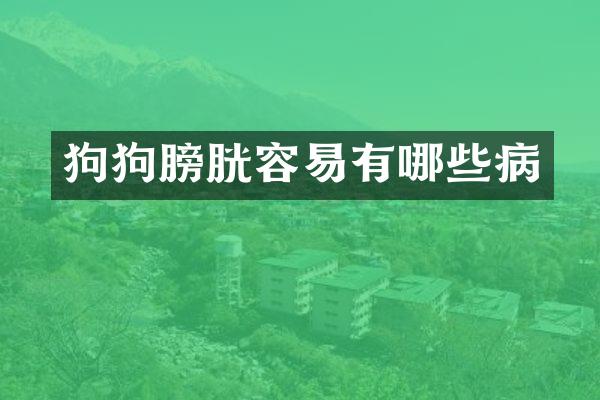 狗狗膀胱容易有哪些病