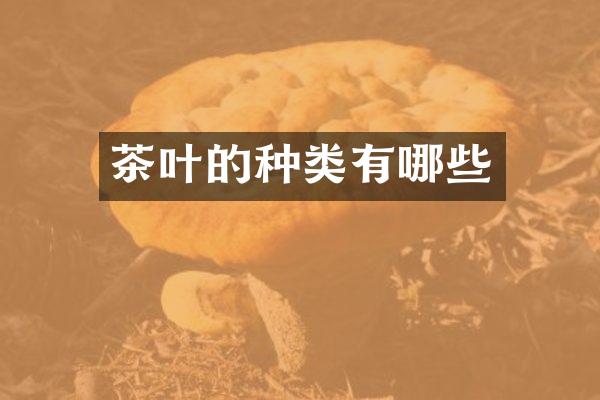 茶叶的种类有哪些