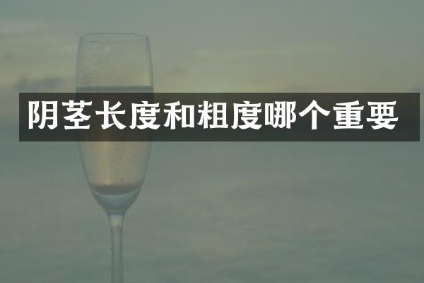 阴茎长度和粗度哪个重要