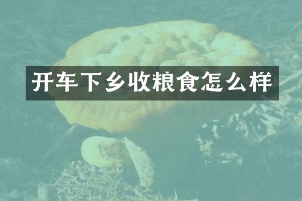 开车下乡收粮食怎么样