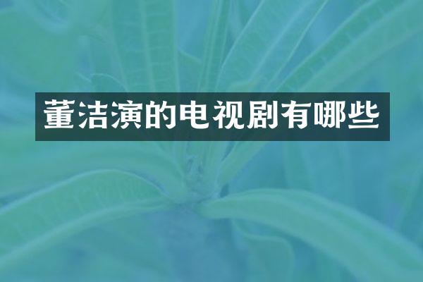 董洁演的电视剧有哪些