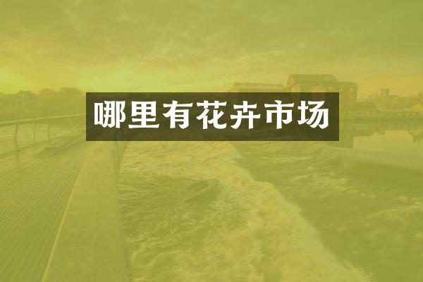 哪里有花卉市场