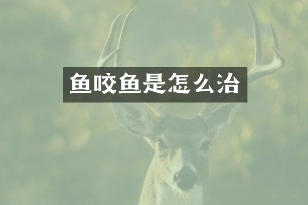 鱼咬鱼是怎么治