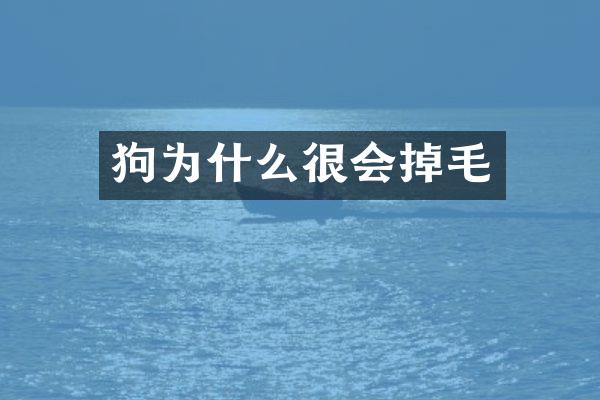 狗为什么很会掉毛