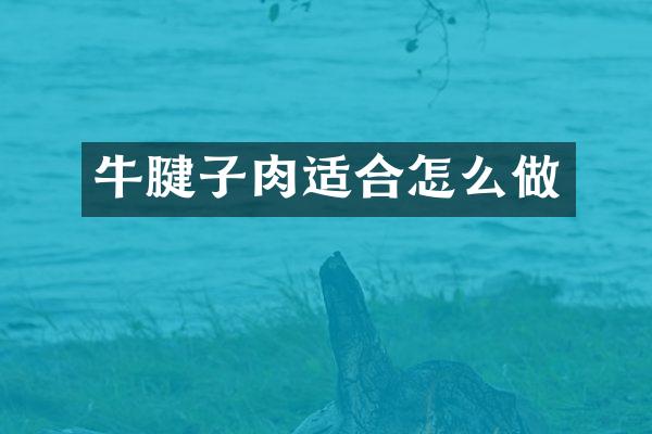 牛腱子肉适合怎么做