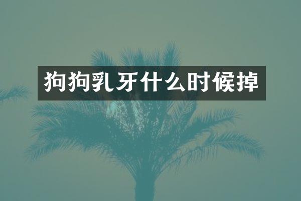 狗狗乳牙什么时候掉
