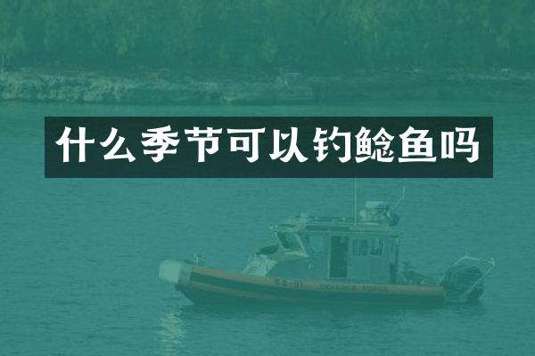 什么季节可以钓鲶鱼吗