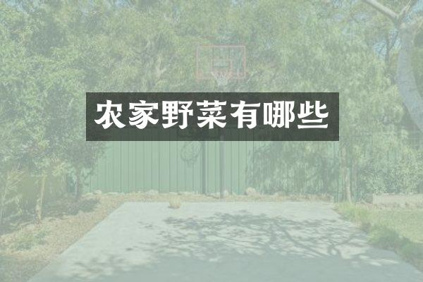 农家野菜有哪些