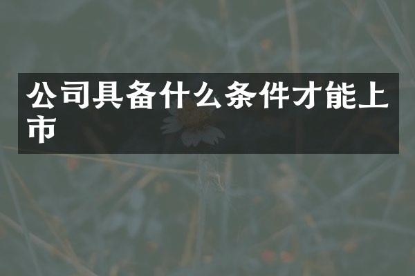 公司具备什么条件才能上市