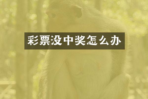 彩票没中奖怎么办