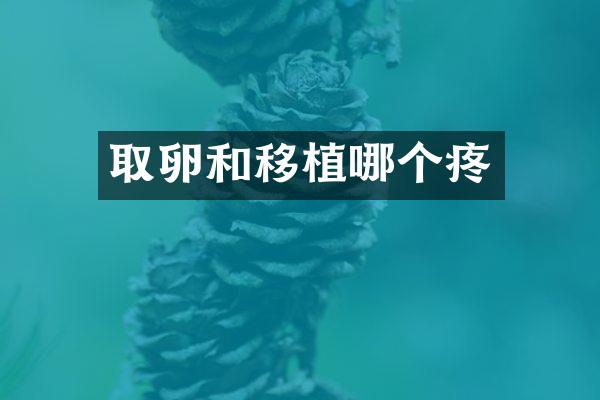 取卵和移植哪个疼