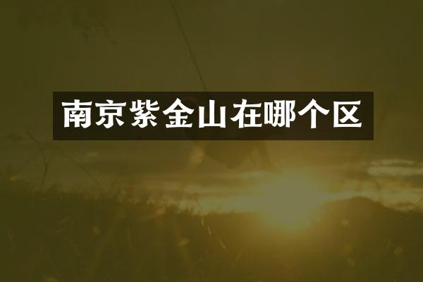 南京紫金山在哪个区