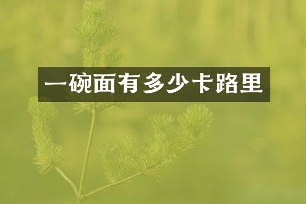一碗面有多少卡路里