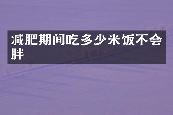 减肥期间吃多少米饭不会胖