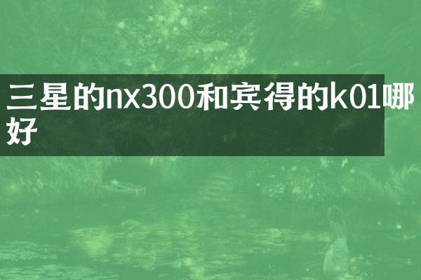 三星的nx300和宾得的k01哪个好