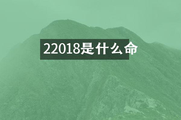 22018是什么命