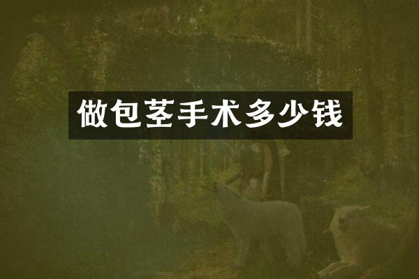 做包茎手术多少钱