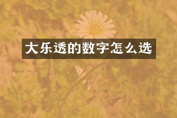 大的数字怎么选