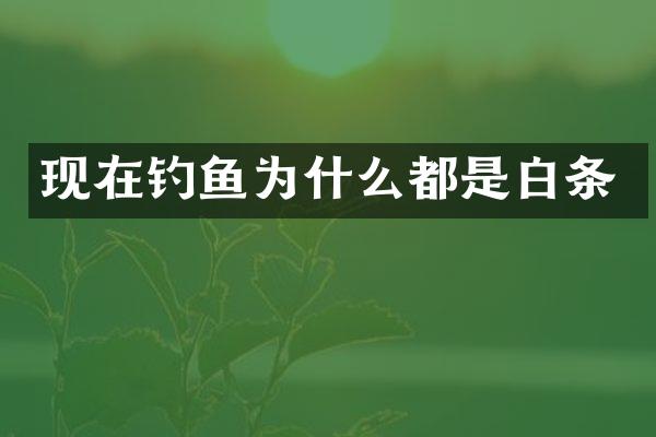 现在钓鱼为什么都是白条