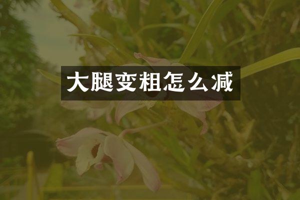 大腿变粗怎么减