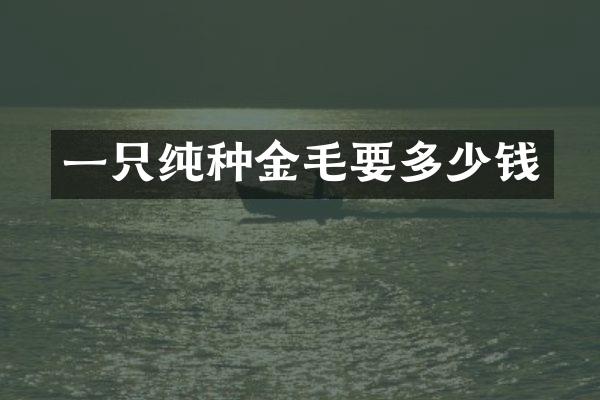 一只纯种金毛要多少钱