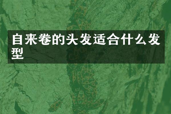 自来卷的头发适合什么发型