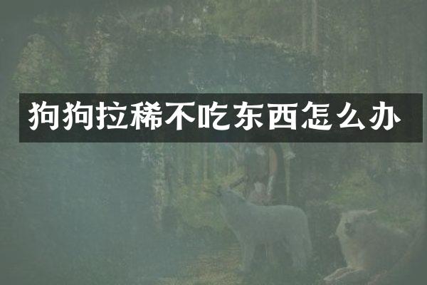 狗狗拉稀不吃东西怎么办