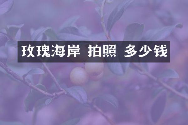 玫瑰海岸 拍照 多少钱