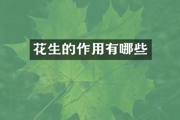花生的作用有哪些