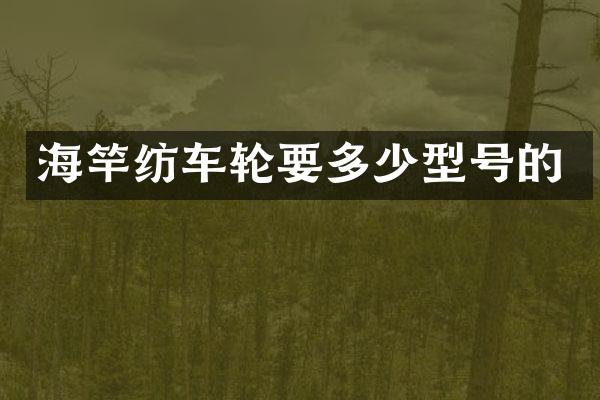海竿纺车轮要多少型号的