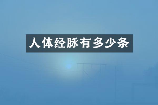 人体经脉有多少条
